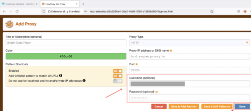 Proxy configuration form with fields for proxy details.