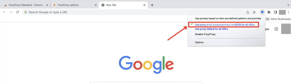 Browser with FoxyProxy settings and Google search bar