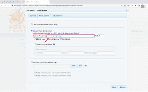 Proxy configuration settings menu in web browser extension.