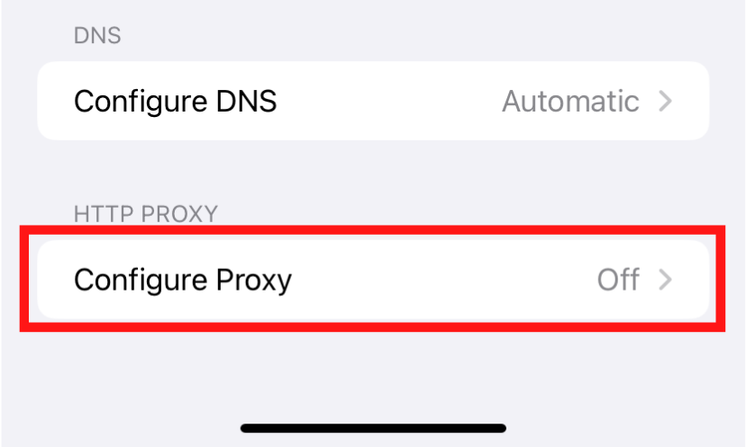 Configure DNS and Configure Proxy settings screen.