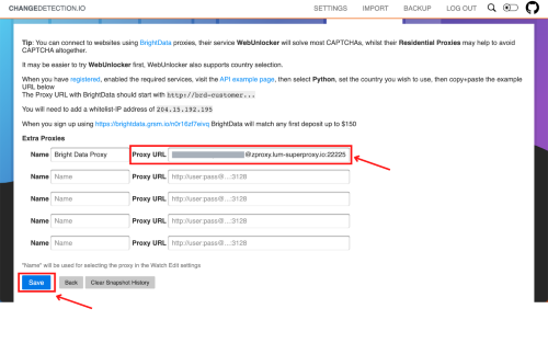 Form for entering proxy details with save button.