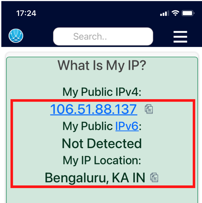 IP details showing IPv4 and location on website
