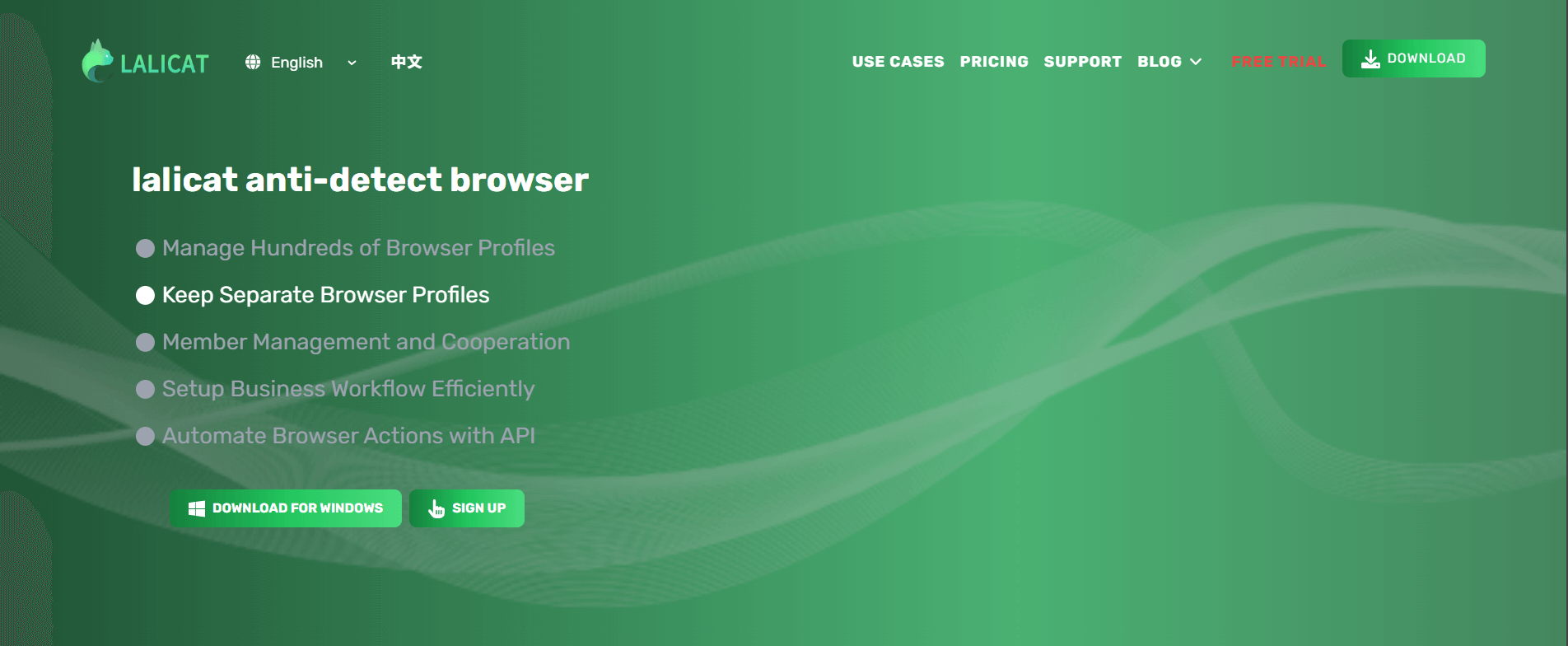 lalicat website homepage