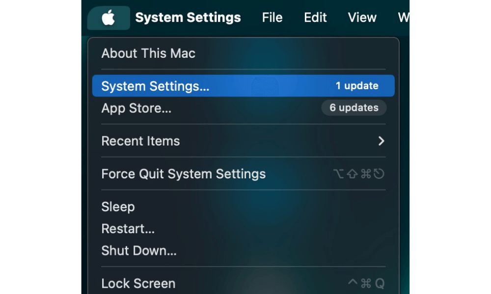 Network settings in macOS