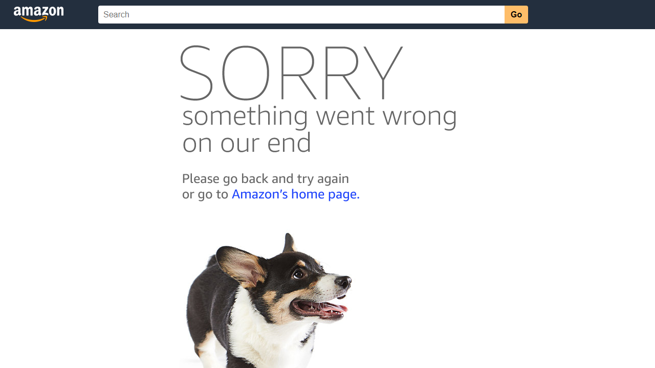The Amazon error page