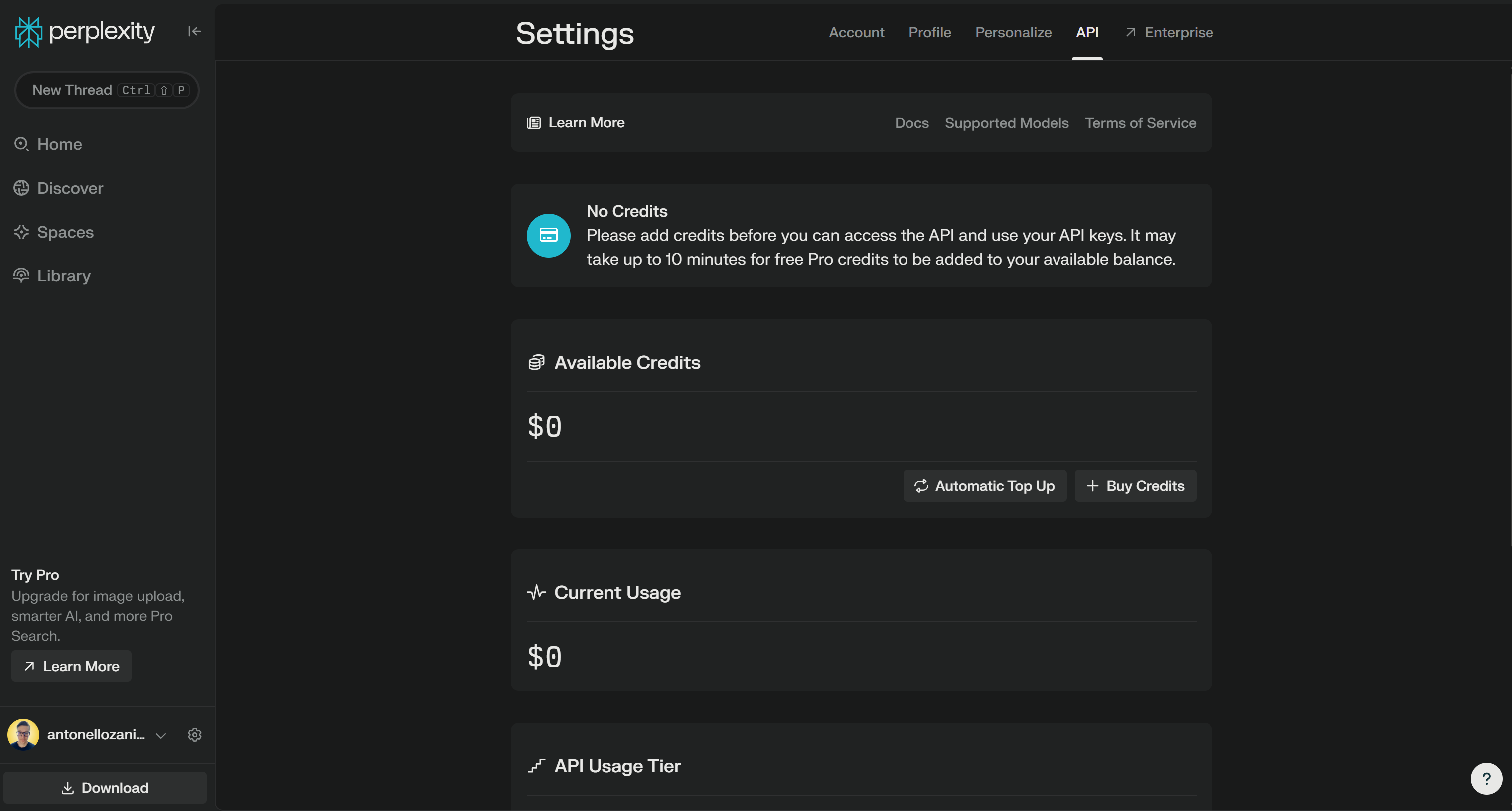 The Perplexity API section after adding a payment method