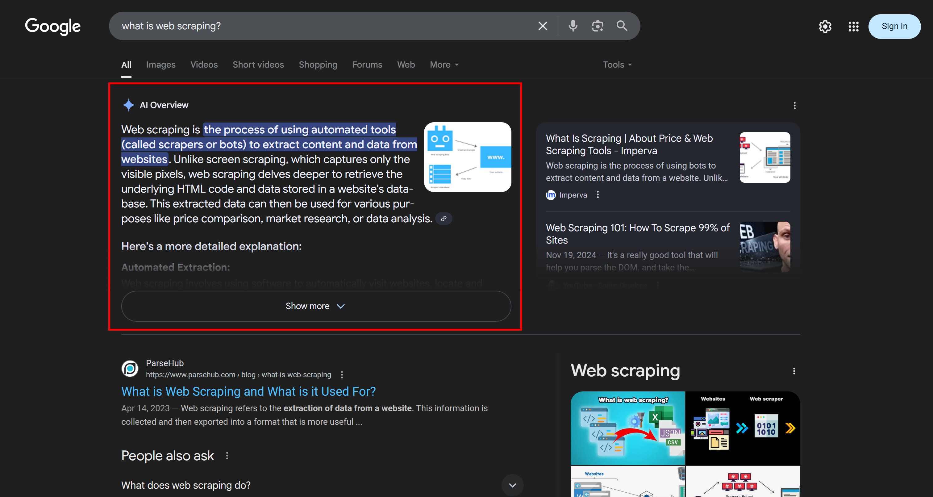 The Google AI Overview section
