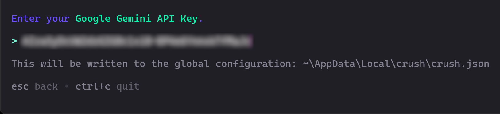 Entering your Google Gemini API key