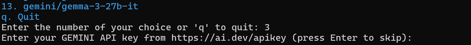 Setting your Gemini API key