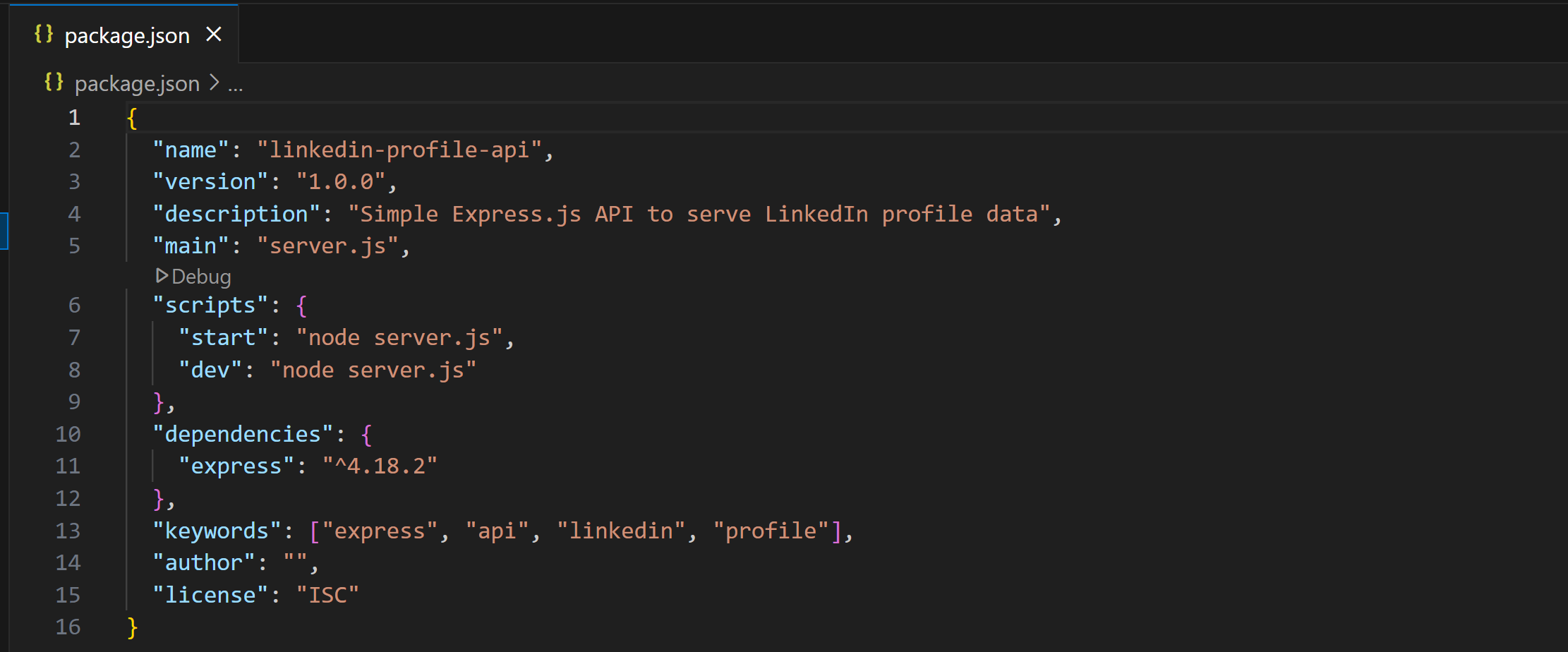 The package.json file in VS Code