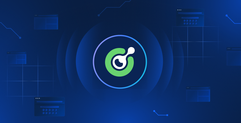 Capsolver Review